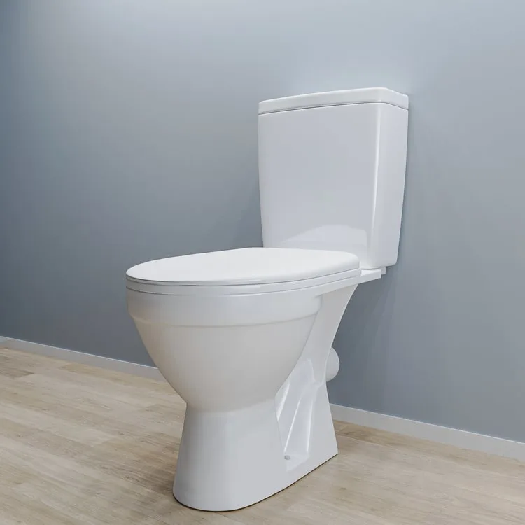 Ceramic Dual-Flush Toilet Tank